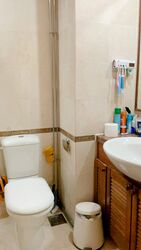 The Oxley (D9), Apartment #482791951